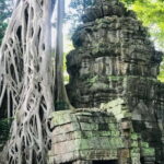 11-Day Cambodia Tour: visit Phnom Penh, Siem Reap & Beyond - What to Keep in Mind