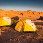 12 Days Gobi Desert and Express Mongolia - The Experience: What Makes It Special