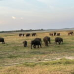 12 Days Tour Grand Discovery of Sri Lanka - A Deep Dive into the 12-Day Sri Lanka Itinerary