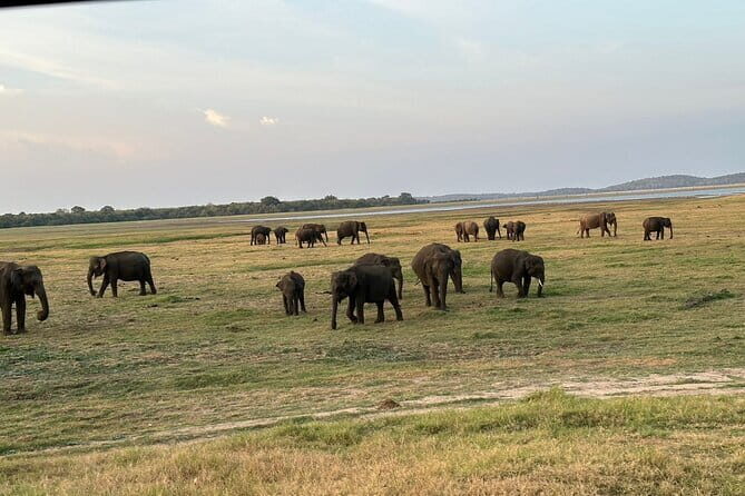 12 Days Tour Grand Discovery of Sri Lanka - A Deep Dive into the 12-Day Sri Lanka Itinerary