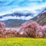 13 Day Nyingchi Peach Blossom Festival Tour - Cultural and Religious Sites