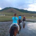 14 days Combination of Gobi and Central Mongolia - What Travelers Can Expect