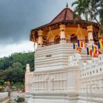 14 Days Round Tour in Sri Lanka - What Makes This Tour Stand Out?
