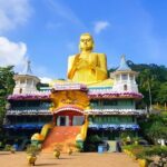 15 Days Sri Lanka Tour Experience - FAQs