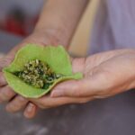 1h Hands-on Veggie Dumpling Workshop in Shanghai - The Experience: Details and Atmosphere