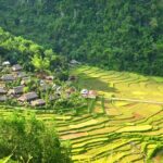 2 Day 1 Night Tour to Pu Luong Nature Reserve - What Makes This Tour Stand Out