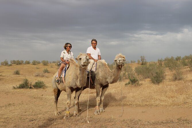 2 Day Aydar Lake Yurt Camping Tour from Bukhara - The Journey Begins: What to Expect