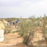 2 Day Aydar Lake Yurt Camping Tour from Samarkand - What’s Included & What’s Not