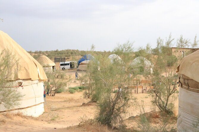 2 Day Aydar Lake Yurt Camping Tour from Samarkand - What’s Included & What’s Not