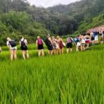 2 Day Chiang Mai Jungle Trek with Hill Tribes and Bamboo Rafting - A Closer Look at the Itinerary: What You Can Expect
