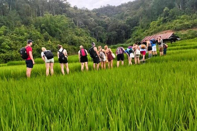 2 Day Chiang Mai Jungle Trek with Hill Tribes and Bamboo Rafting - A Closer Look at the Itinerary: What You Can Expect