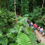 2 Day Daintree Rainforest and Chillagoe Outback Tour - Practical Details and Tips