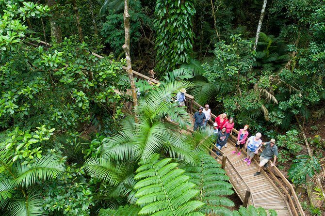 2 Day Daintree Rainforest and Chillagoe Outback Tour - Practical Details and Tips