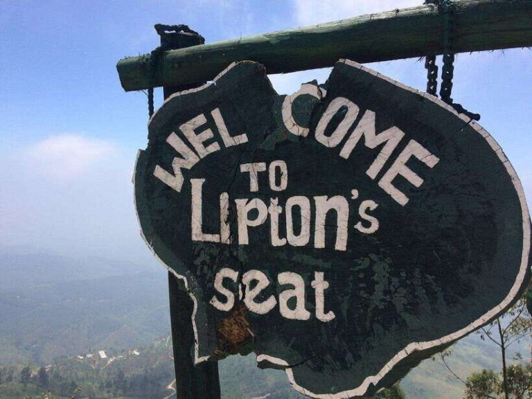 2-Day Ella Tour: Diyaluma Falls Horton Plains & Scenic Train - The Complete Experience: What You Can Expect from the Tour