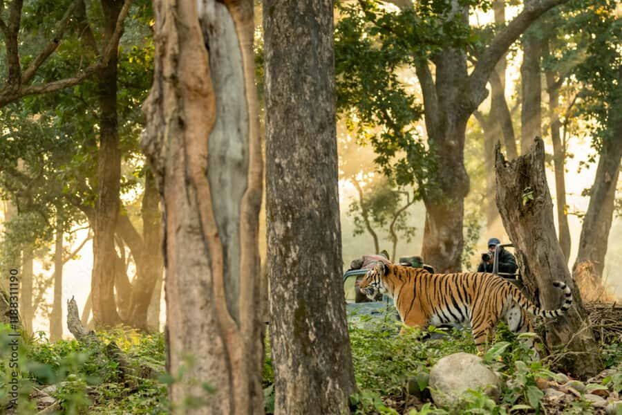 2 Day Jim Corbett National Park Tour from Delhi - Who Should Consider This Tour?