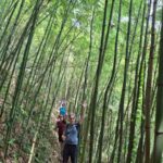 2-Day Trek Through Sapa's Mountains,Valley & Local Villages - Day 1: From Mountain Trails to Homestay Comforts