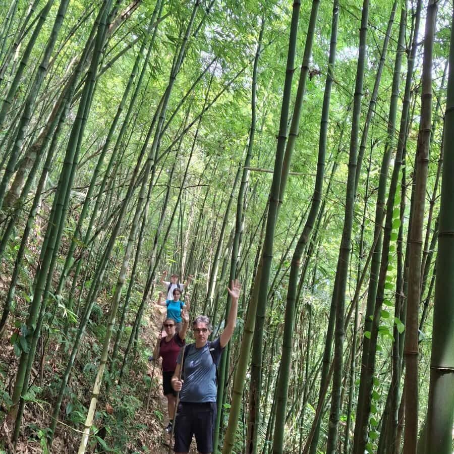 2-Day Trek Through Sapa's Mountains,Valley & Local Villages - Day 1: From Mountain Trails to Homestay Comforts