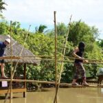 2 Days 1 Night Mekong Delta Tour - Exploring the Mekong: A Detailed Breakdown