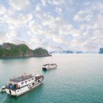 2 Days Explore Bai Tu Long Bay with High-end Private Cruise - Who Will Love This Tour?