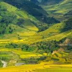 2 Days Honghe Yuanyang Hani Rice Terraces Private Tour - Final Thoughts