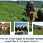 2 Days Kharkhorin ancient capital city and Khustai National Park - Day 2: From Ancient Ruins to Przewalski Horses