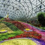 2 Days Kunming City Tour with Professional Private Tour Guide - Transportation, Timing, and Practicalities