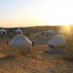 2 Days Private Safari Tour from Bukhara - The Itinerary Breakdown