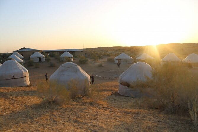 2 Days Private Safari Tour from Bukhara - The Itinerary Breakdown