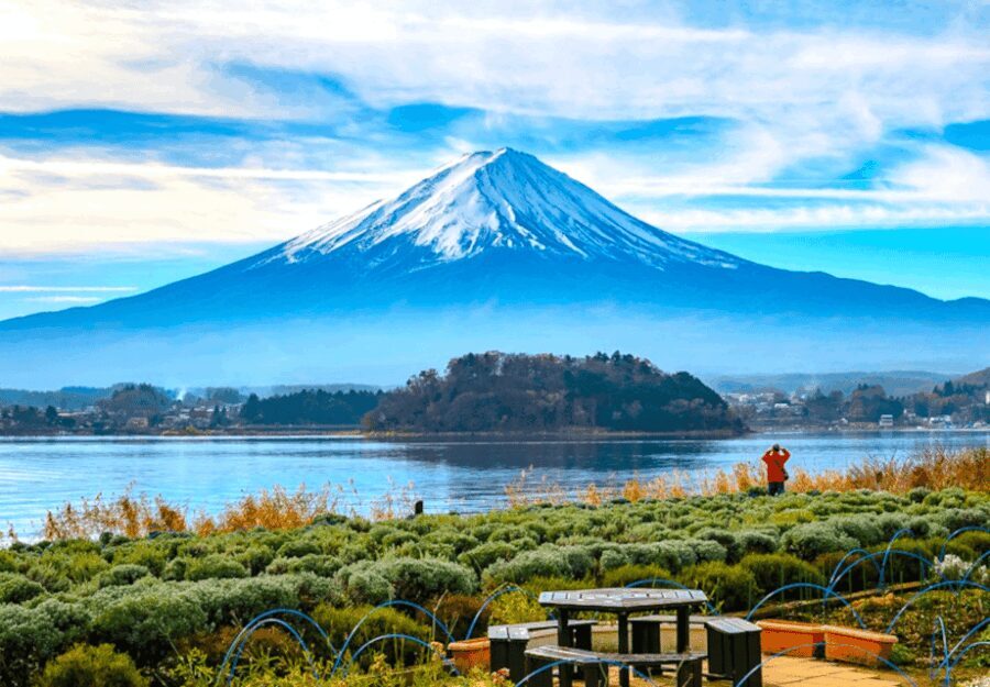 2 Days Tokyo, Mount Fuji Trip Private Guided Tour - The Practicalities: Transport, Timing, and Customization