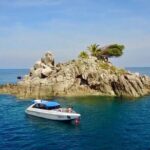 2 dives at coral reefs, Half day for certified divers - Final Thoughts: Is It Worth It?