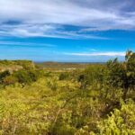 2 hour Individual Guided South Island Tour for Singles/Couples - What Travelers Say