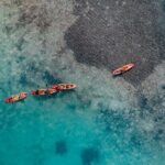 2 Hour Mangrove Kayak and Snorkel Tour - What Travelers Say