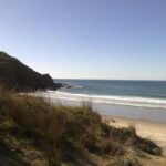 2 Hour Surf Lesson - Te Arai Beach - The Real Benefits of This Surf Lesson