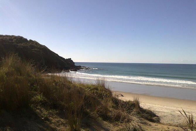 2 Hour Surf Lesson - Te Arai Beach - The Real Benefits of This Surf Lesson