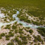 2 Hours Clear Kayaking Activity on Mangrove Cay - Who Should Consider This Tour?