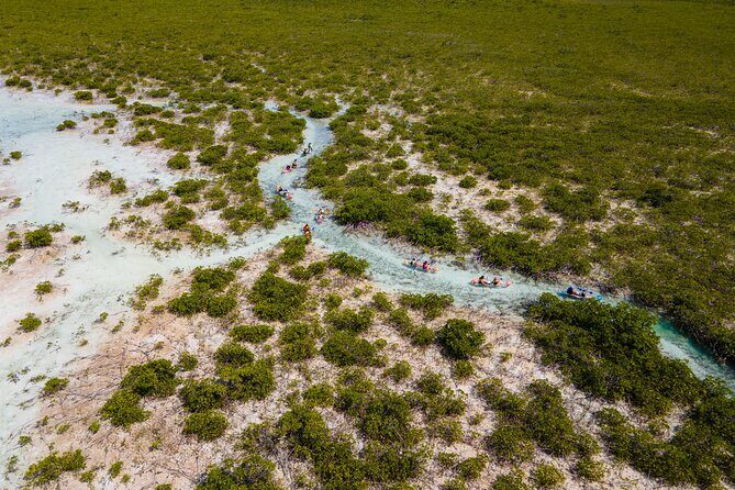 2 Hours Clear Kayaking Activity on Mangrove Cay - Who Should Consider This Tour?