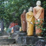 2 hours private Madu River Safari - The Experience of the Guide and the Overall Atmosphere