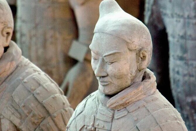 2 Hours Terracotta Warriors Visit in China - Who Should Book This Tour?