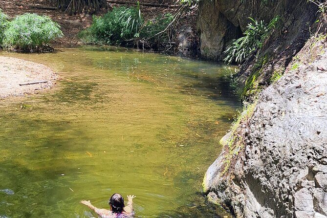 2 Hours Trekking Waterfall Tour in Tobago - Who Will Love This Tour?