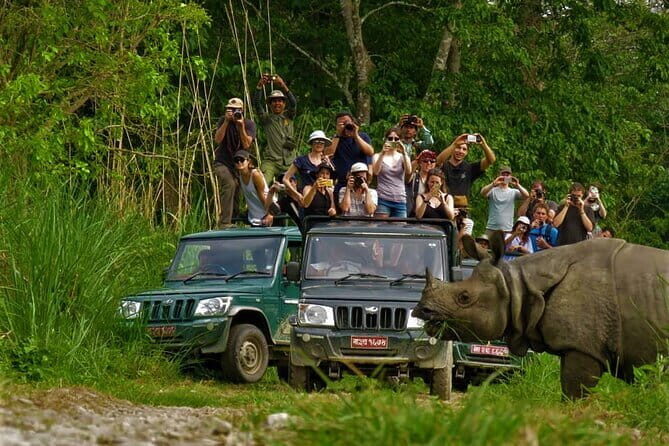 2 Night 3 Day Chitwan Jungle Safari Tour from Pokhara - Transportation and Logistics
