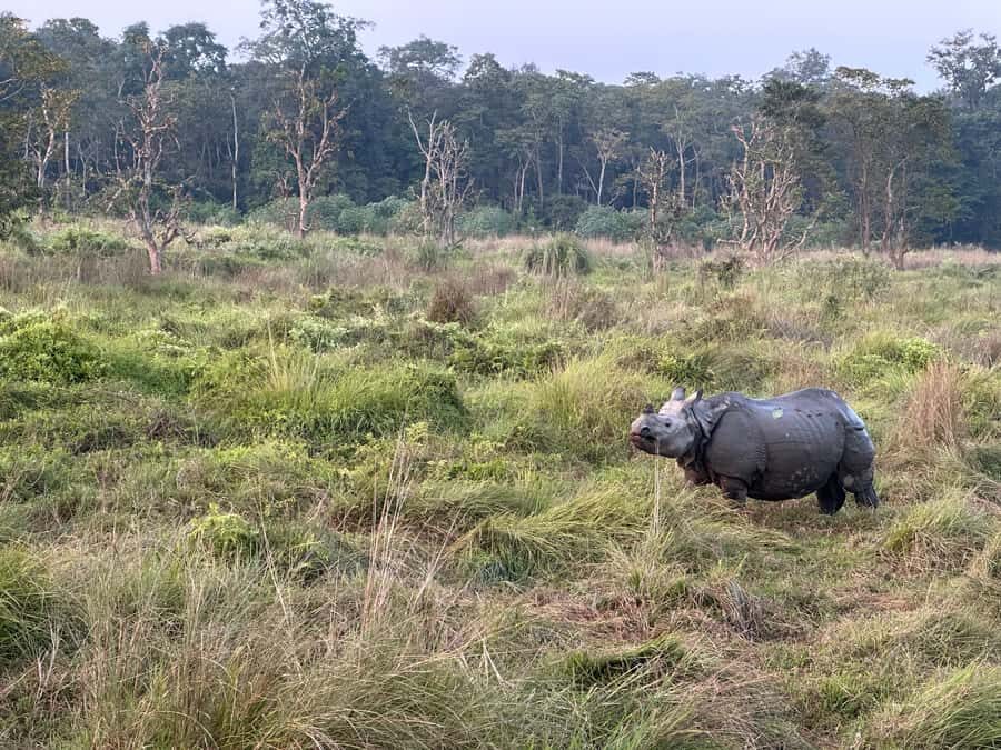 2-Night Treehouse Tower Night Stay in Chitwan National park - Practical Details: What Makes This Tour Stand Out