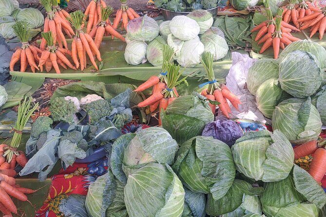 2 Nights Stay in Tanna including Accommodation, meals & transfers - How the Experience Feels in Practice