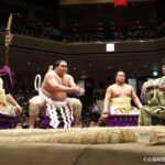2026 Spring Sumo Tour - Regional Exhibition Viewing - Value for Money