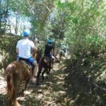 27 Waterfalls: Zip 'n Splash Adventure with Horse Ride - Practical Considerations & Tips