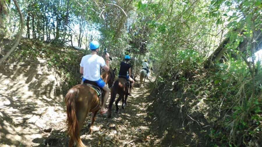 27 Waterfalls: Zip 'n Splash Adventure with Horse Ride - Practical Considerations & Tips