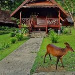 2D1N Taman Negara Rainforest Tour and Boat Ride - Who Should Consider This Tour?