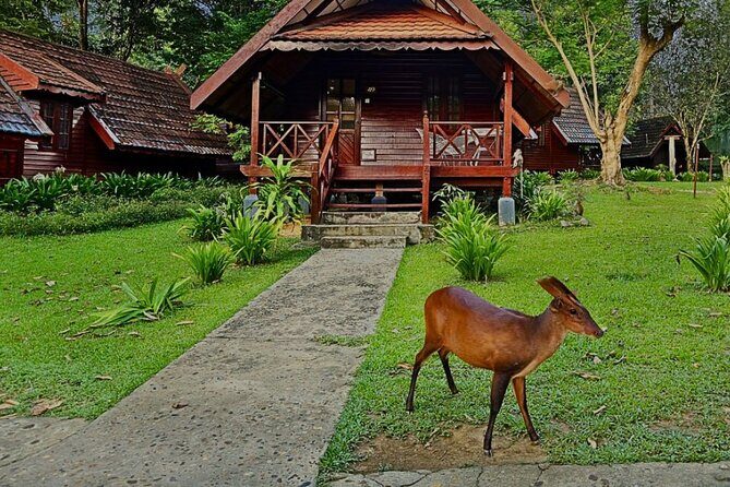2D1N Taman Negara Rainforest Tour and Boat Ride - Who Should Consider This Tour?