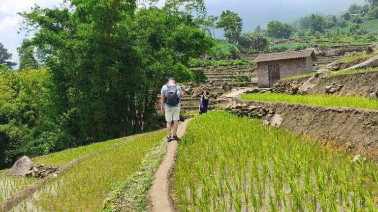 2D1N Trek: Ta Van & Lao Chai Rice Terrace Trails - Final Thoughts