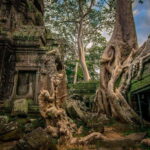3-Day Angkor Wat & All Interesting Temples With Beng Mealea - Transportation and Comfort