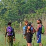 3-Day Chitwan Jungle Safari from Kathmandu  All-Inclusive Tour - The Heart of the Tour: What You’ll Experience